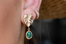Load image into Gallery viewer, Tropic Like It&#39;s Hot Earrings
